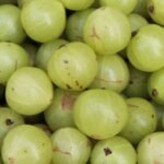 Amla