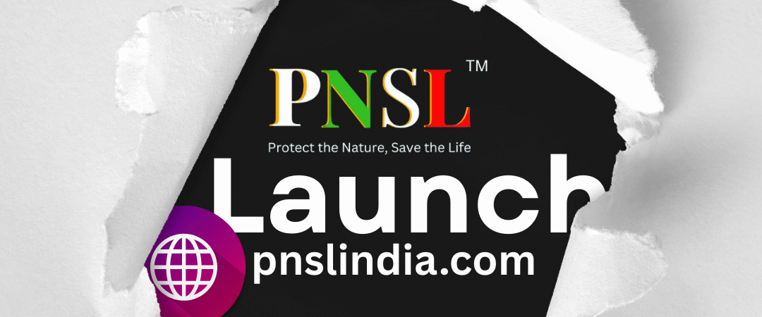 Skin Care & Hair Care