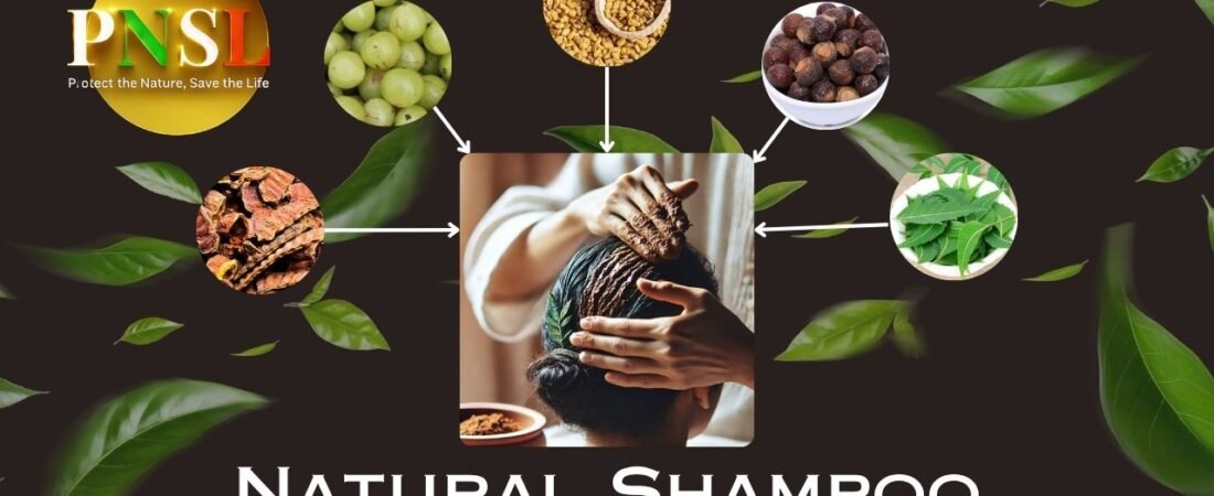 Natural Shampoo